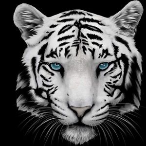 Meet your Posher, Jen